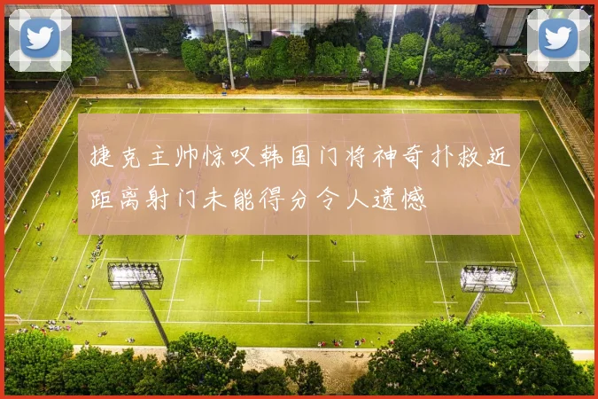 捷克主帅惊叹韩国门将神奇扑救近距离射门未能得分令人遗憾